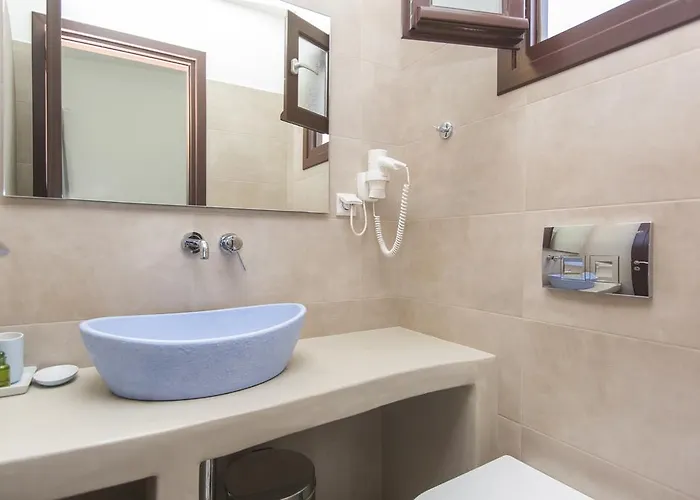 公寓 Amalthia Luxury Naxos City